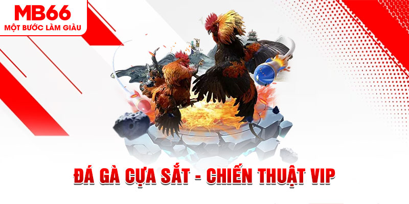 12 bet sòng bạc Trực tuyến